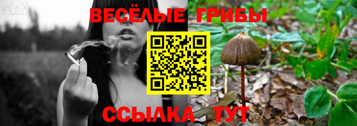 Галлюциногенные грибы Cubensis  Вход с VPN  Псилоцибиновые грибы ЛСД  Среднеуральск 